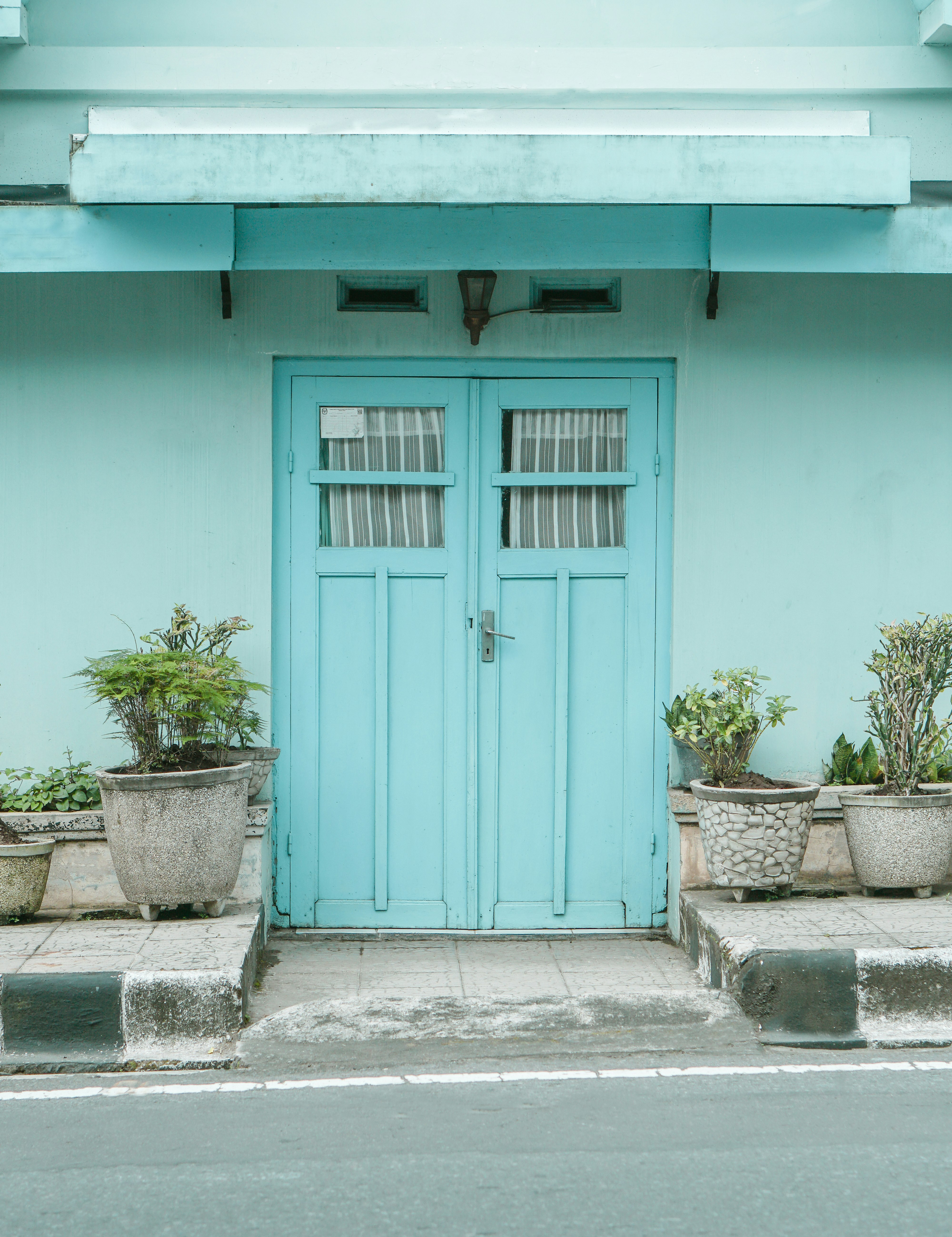 blue wooden door beside green potted plant